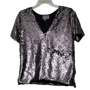 Vanessa Virginia Anthropologie Blouse Size Small Silver Sequin Short Sleeve